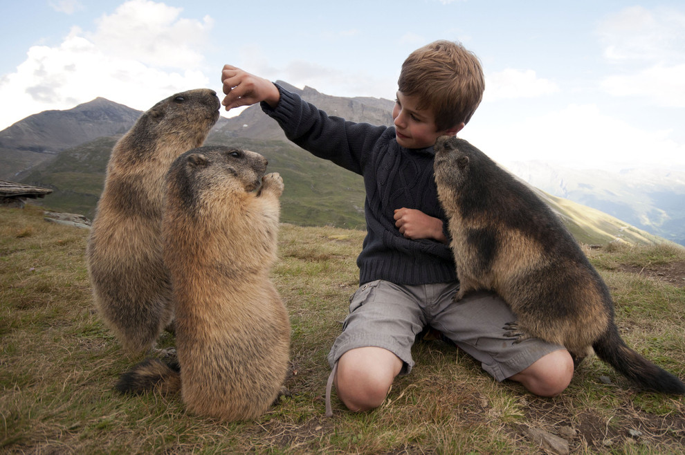 Autriche – Marmottes