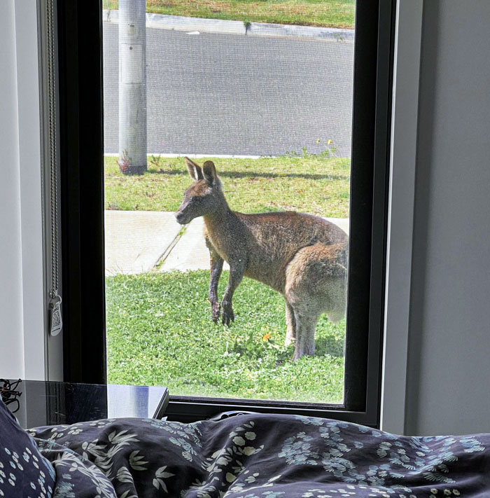 Quand tu lèves les yeux au ciel toute ta vie devant des étrangers ignorants qui pensent que tu as des kangourous devant chez toi et que tu vis en banlieue.