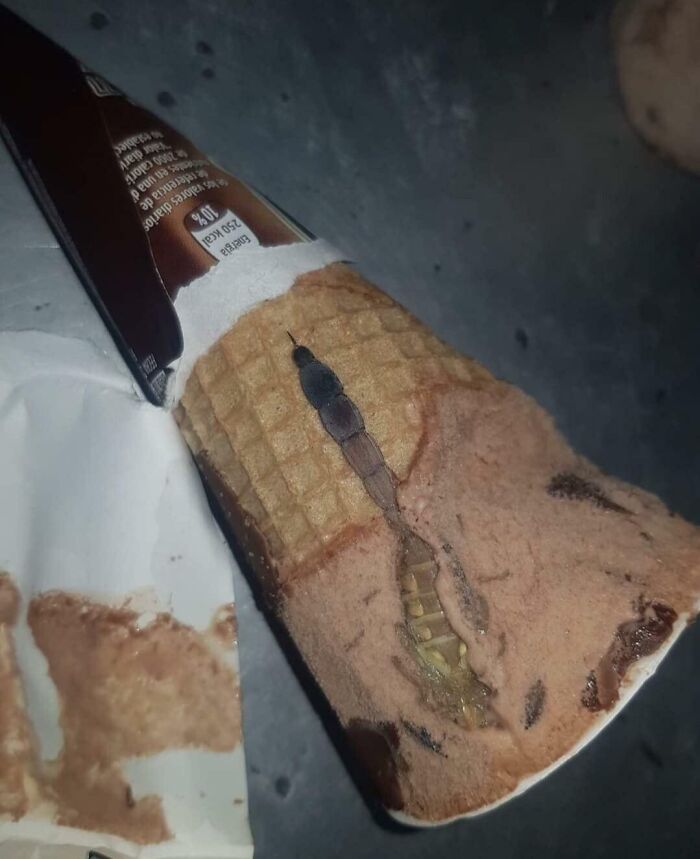 Une queue de scorpion a été trouvée dans cette crème glacée.