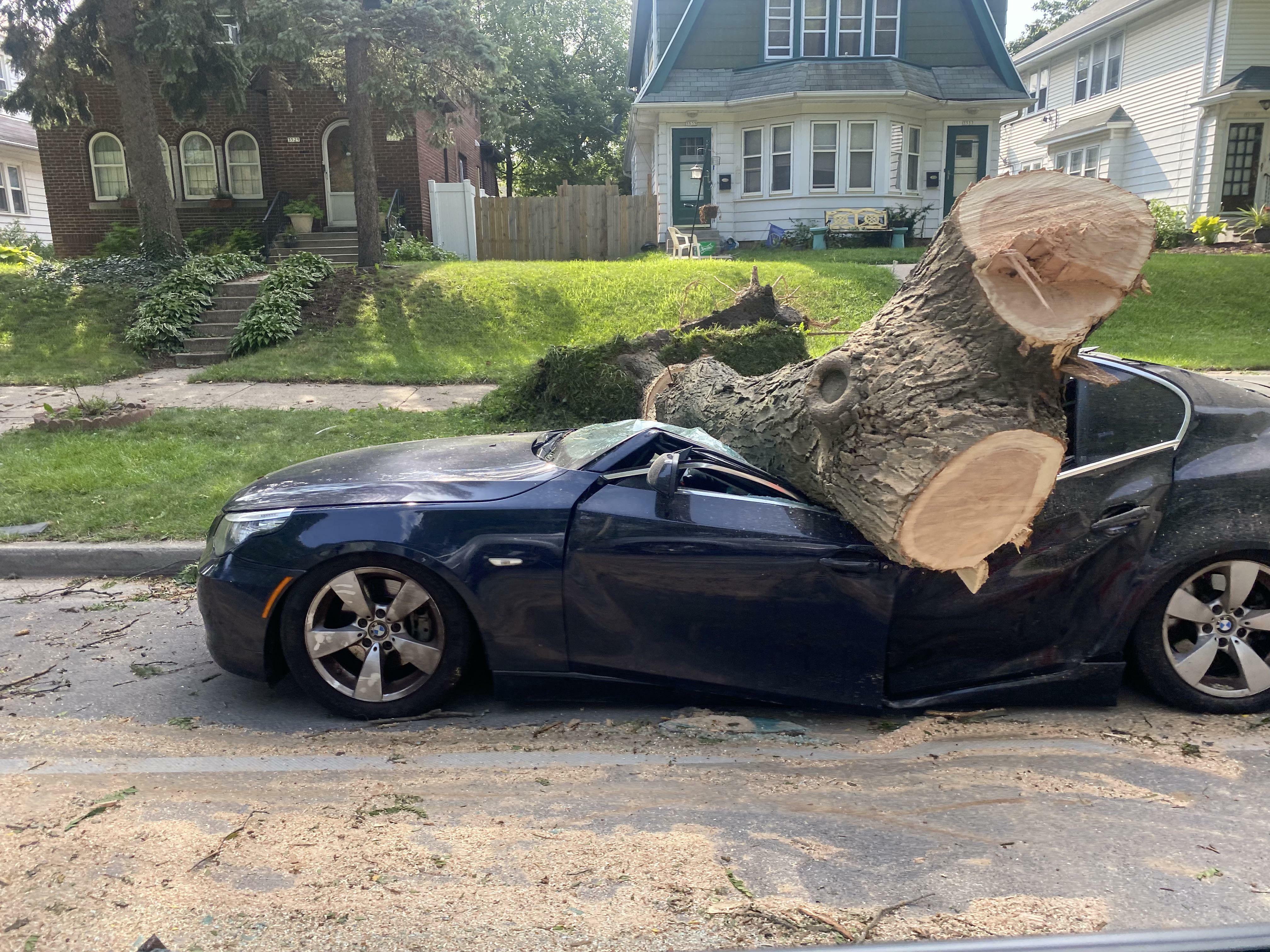 Une Bmw détruite par un arbre