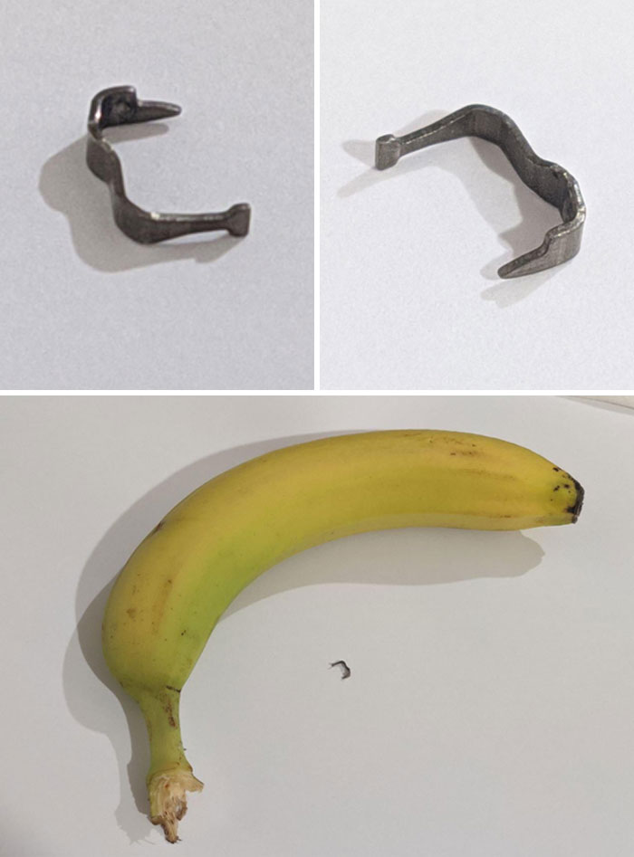 En mangeant un morceau de laitue, j’ai découvert cet objet métallique que j’ai failli avaler, mais heureusement, je ne l’ai pas fait. J’ai inclus une banane sur la photo pour donner une idée de l’échelle.