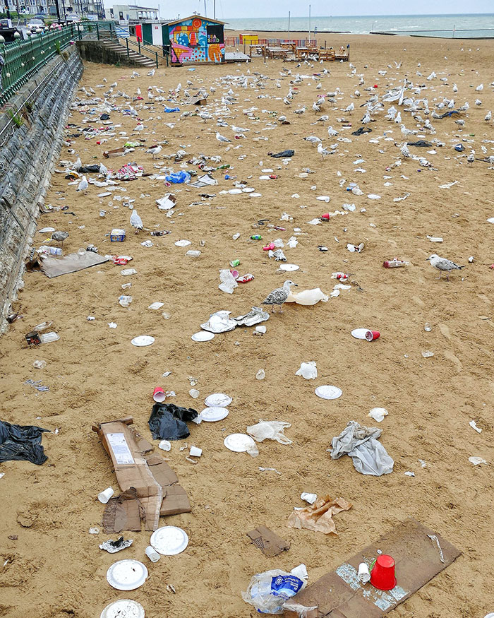 J’ai été à la plage de Margate et je regrette de ne pas l’avoir fait. Est-ce parce que le conseil municipal ne met pas de poubelles sur la plage, ou est-ce la faute des visiteurs paresseux ? Dans tous les cas, c’est une véritable honte.