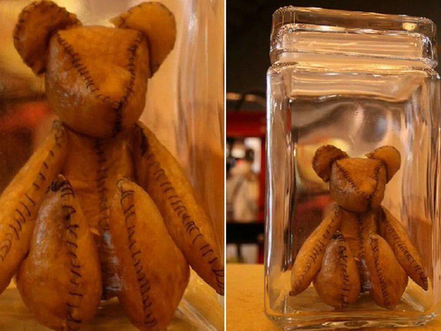 Voici un ours en peluche fabriqué à partir de placenta humain.