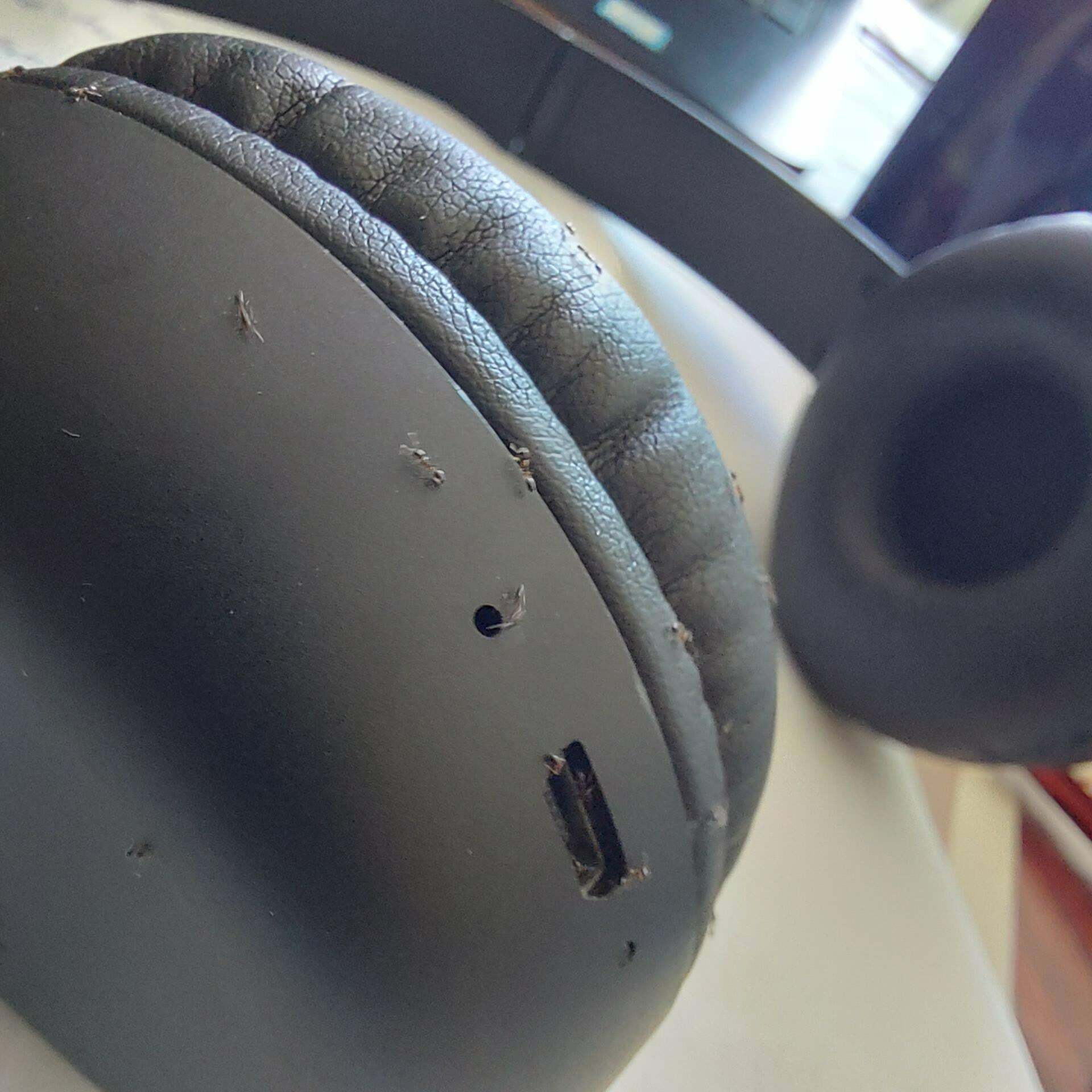 Mon casque d’écoute a soudainement cessé de fonctionner. Il était plein de fourmis