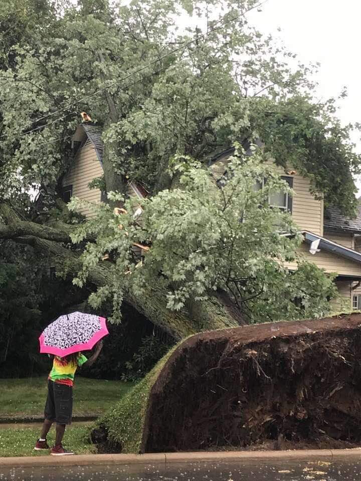 La façon dont cet arbre s’est déraciné après une tempête qui a traversé ma région dans l’Ohio hier.