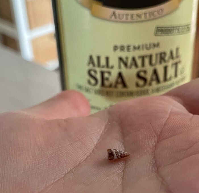 Aujourd’hui, j’ai trouvé un petit coquillage dans mon sel de mer.