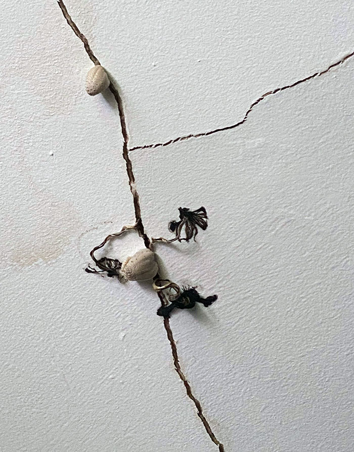 Des plombiers paresseux ont installé des tuyaux qui fuient dans ma salle de bain. Maintenant, des champignons poussent sur mon plafond.