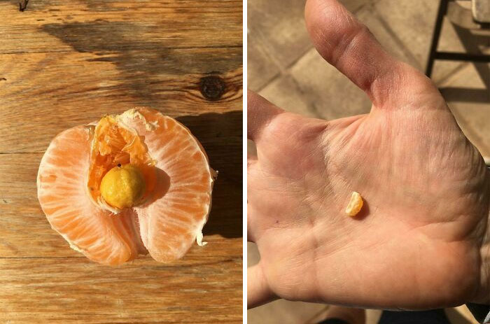 Mon orange avait une minuscule orange qui poussait à l’intérieur.