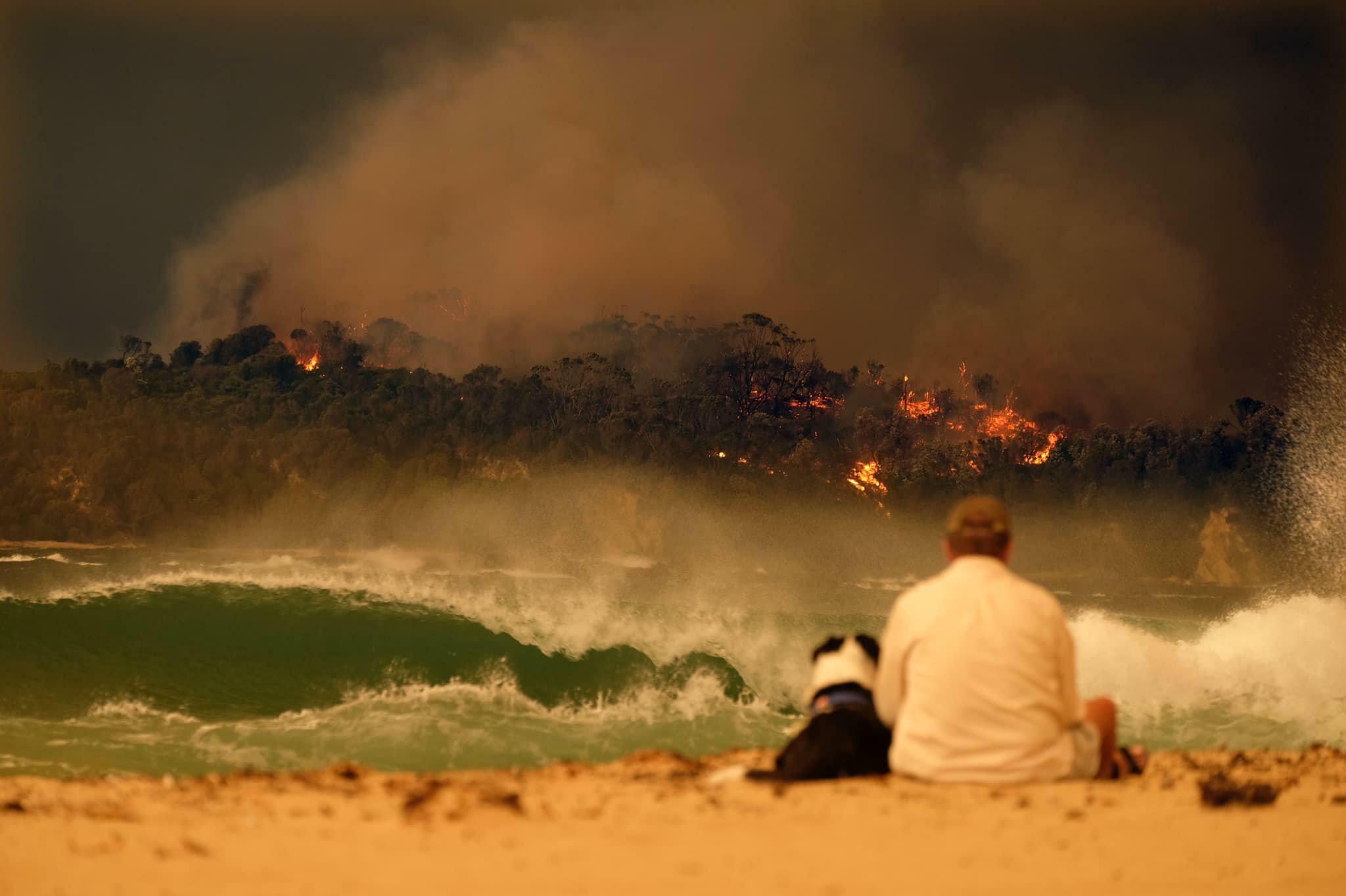 Un homme et son chien pendant les incendies de forêt en Australie