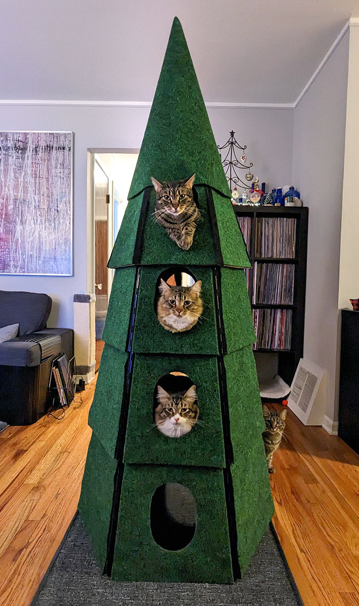 J’ai installé un sapin de Noël dans lequel nous encourageons nos chats à grimper.