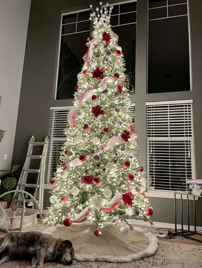 Notre arbre de Noël