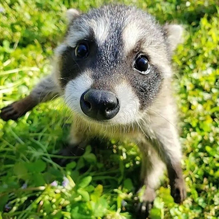 Le petit gars veut un câlin