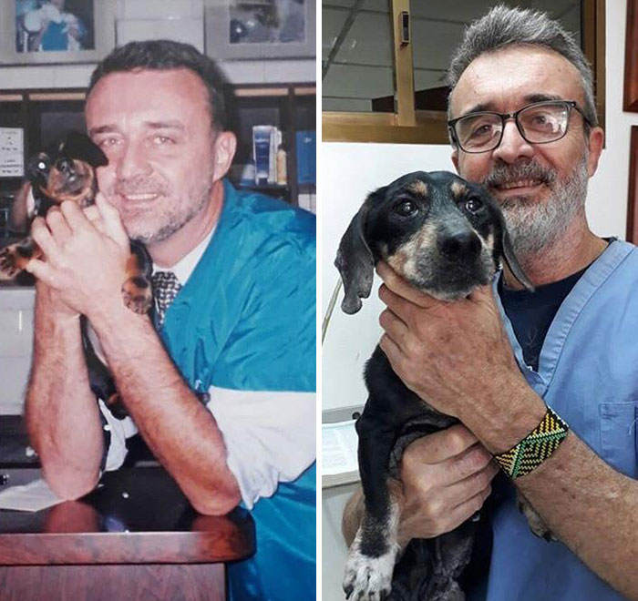 Un vétérinaire soigne le même chien à 15 ans d’intervalle