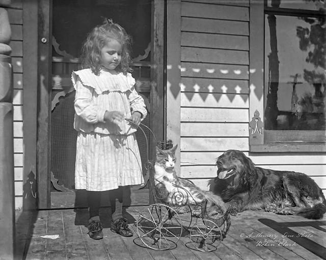 Portrait d’une jeune fille avec son chat de compagnie dans un landau et son toutou qui se promène dessus, prenant un bain de soleil. Cette photo a été prise à Cleveland, Ohio, États-Unis, vers le début des années 1900′s.