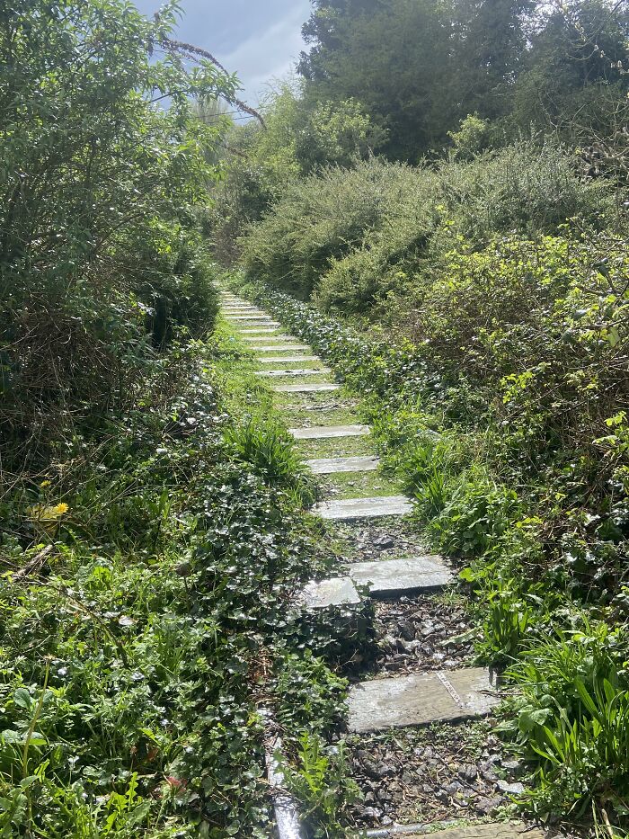 C’est génial, Railway Desire Path