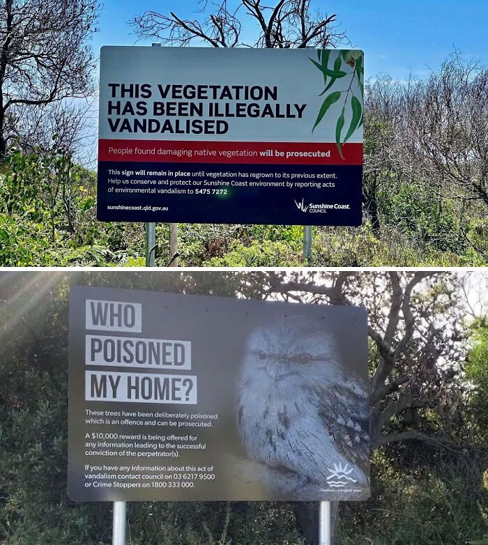 Si quelqu’un coupe un arbre pour avoir une vue en Australie, le gouvernement installe un panneau pour bloquer la vue.