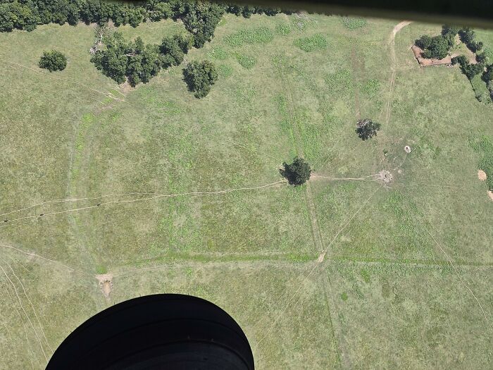 Il s’avère que les vaches ont aussi des chemins de désir ! Les points noirs à gauche de l’image sont les vaches. Prise à partir d’un avion volant à basse altitude