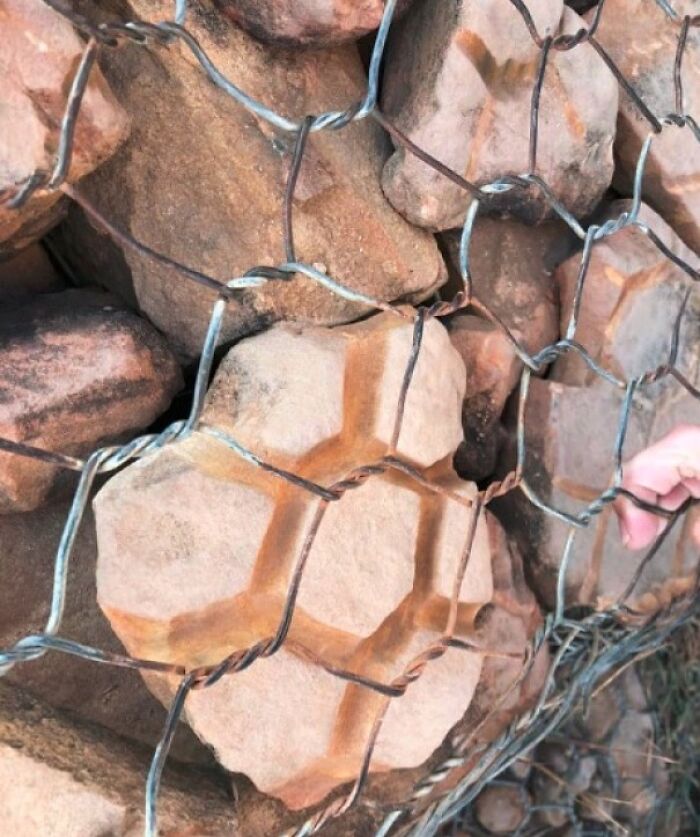 Le motif de cette clôture en fil de fer sur le rocher au fil des ans (d’un sentier de montagne local)