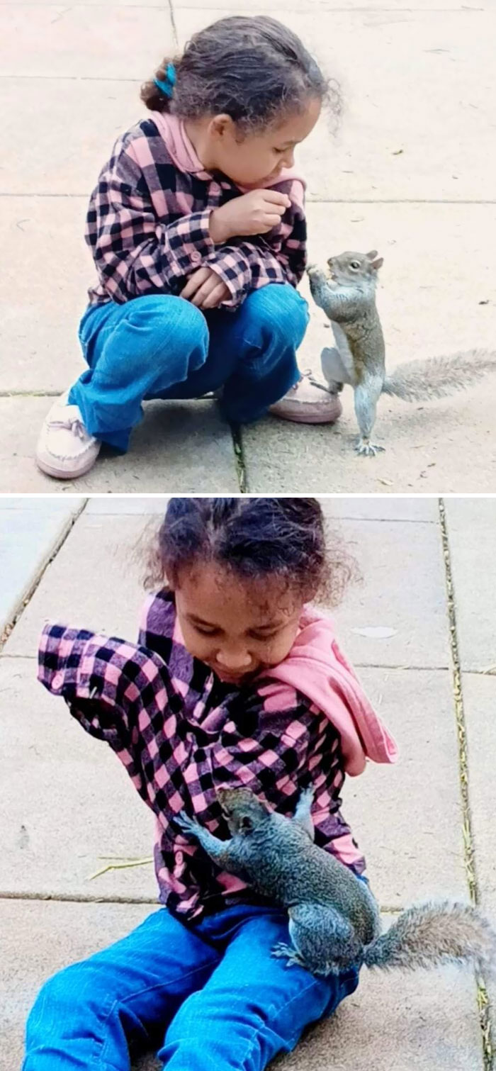 Un jour, ma fille de 6 ans est sortie de la voiture et ce petit bonhomme a couru le long de sa jambe. Aujourd’hui, il frappe tous les jours à ma fenêtre, comme s’il voulait lui demander si elle pouvait sortir pour jouer.