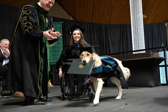 Ce chien d’assistance a obtenu sa maîtrise en ergothérapie à l’université de Clarkson après avoir assisté à tous les cours avec son humain.