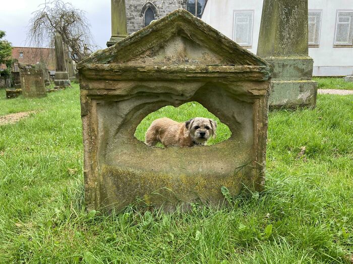 Une pierre tombale du cimetière de l’église de ma ville est complètement usée.