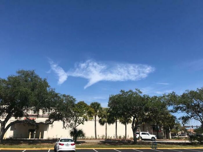 Ce nuage ressemble à un poisson ou à un requin