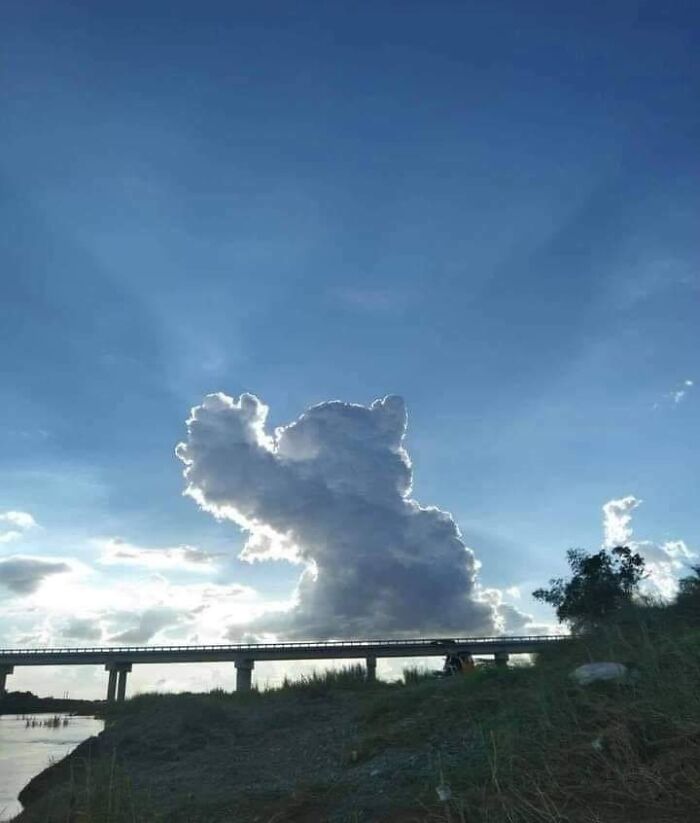 Le nuage ressemble à un chat qui s’élance vers le ciel