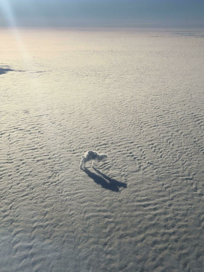 Juste un chameau errant dans un désert de nuages