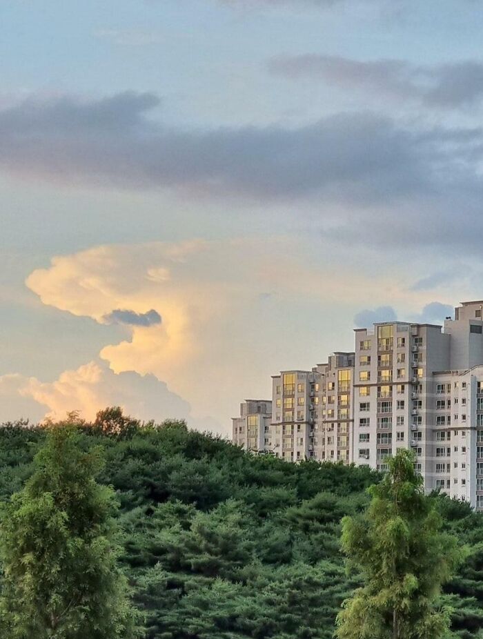 Ce nuage a la forme d’un grand requin blanc