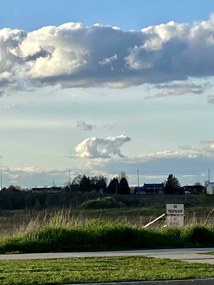 Un nuage, qui ressemble à un ours polaire, de ma promenade de tout à l’heure.