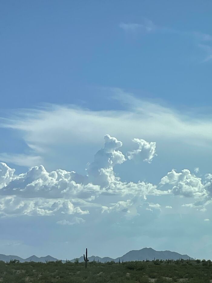 Juste un nuage d’ours