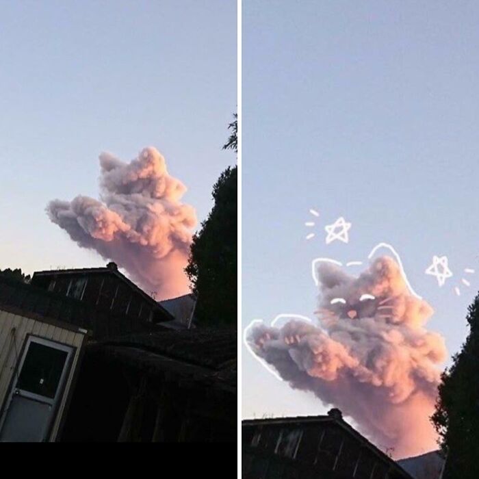 Ce nuage ressemble à un chat et à un chien