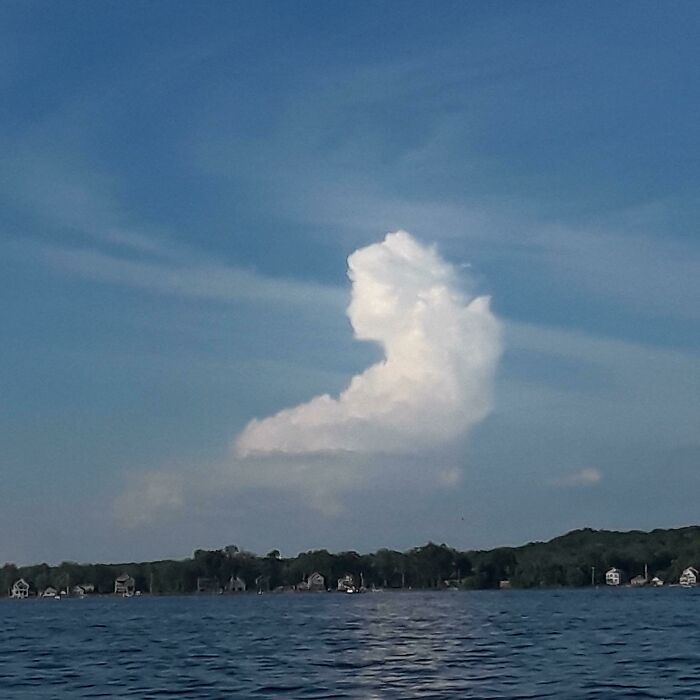 En faisant du bateau sur le lac Saratoga, NY, tu as vu ce nuage qui ressemble à une dame victorienne.