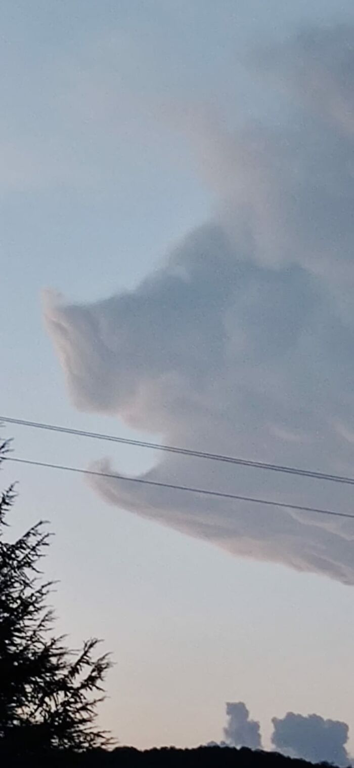 Nuage qui ressemble à une tête de cochon