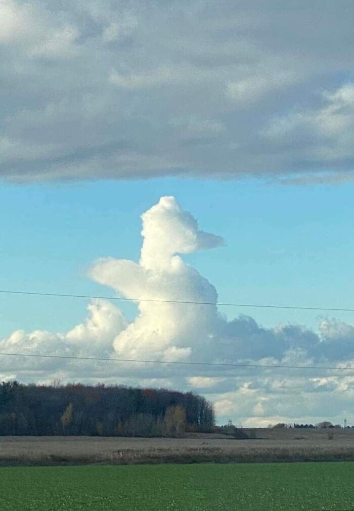 Un nuage qui ressemble à un chat en prière