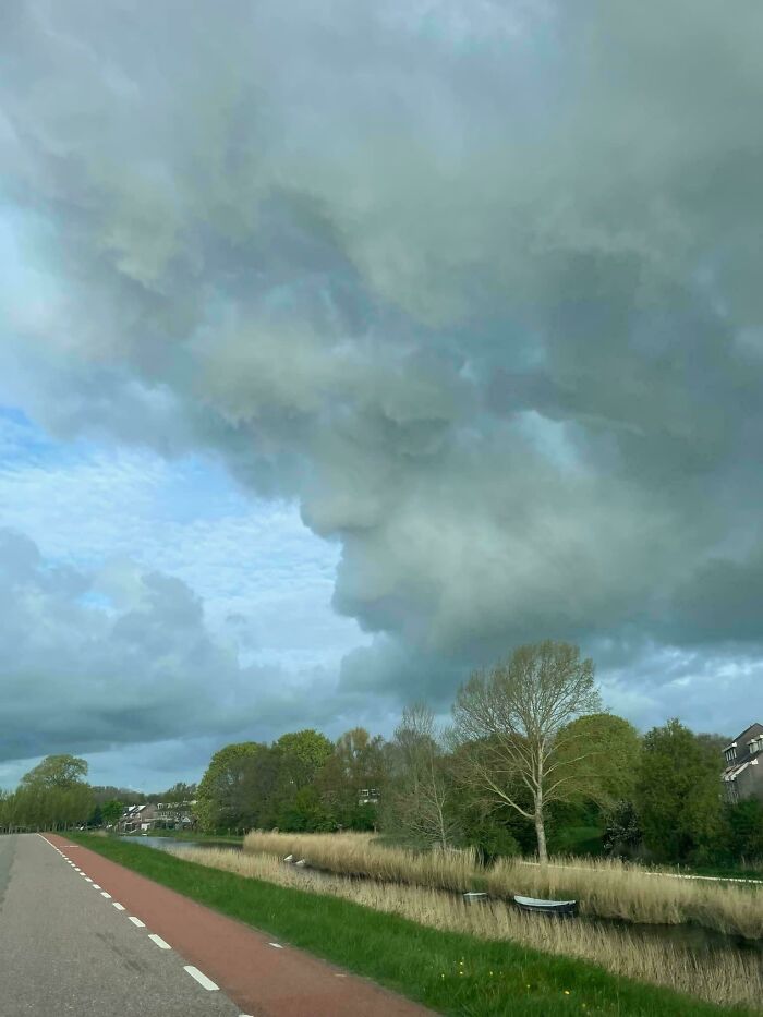 Tête de nuage