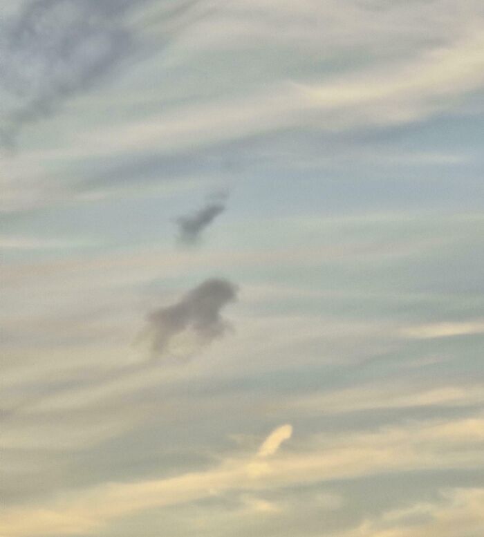 Ce soir, j’ai vu Mufasa, qui nous regardait du haut d’un nuage.