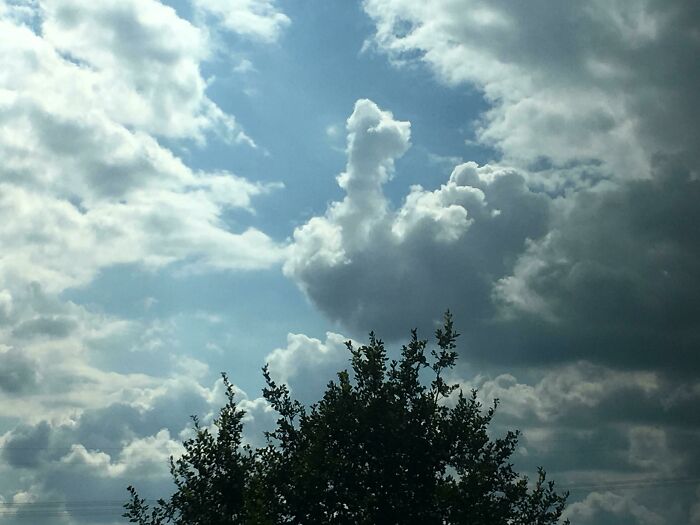 Ce nuage me met hors de moi