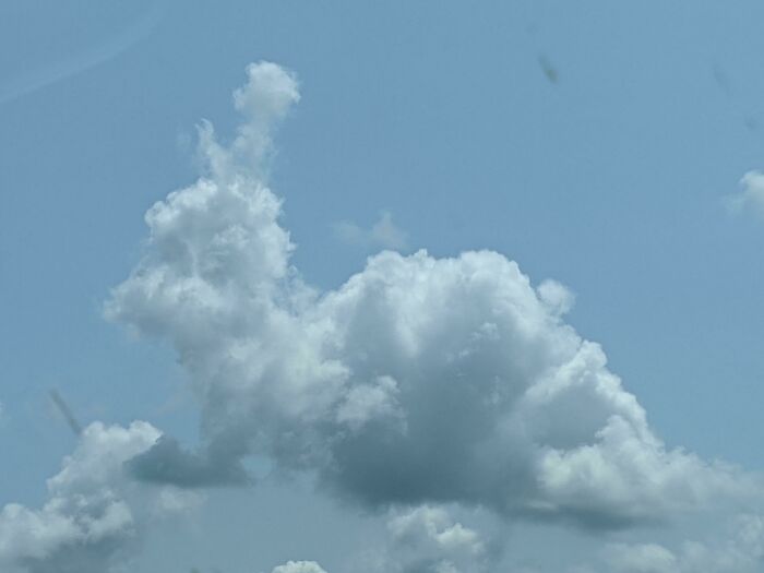 Nuage de lapin