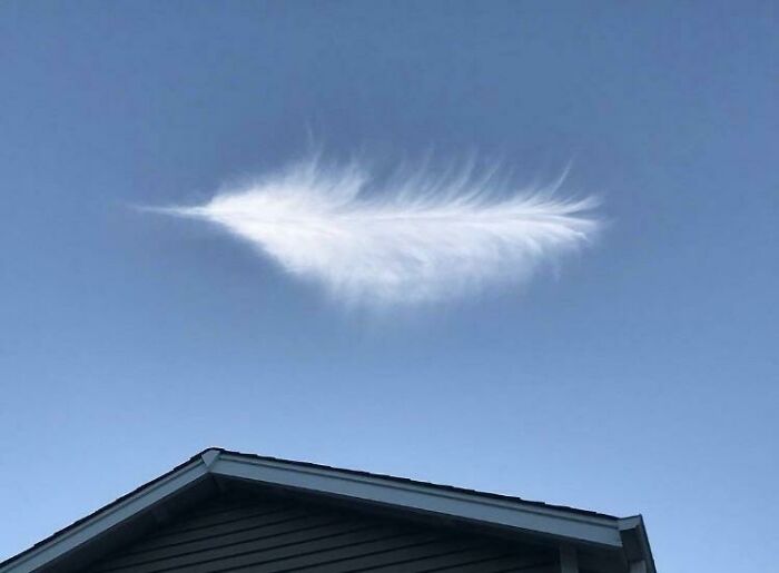 Ce nuage qui ressemble à une plume