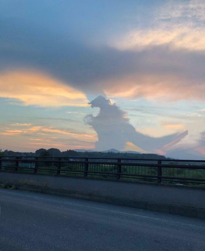 Godzilla Cloud